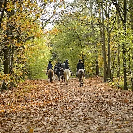 Am - Naehe Berlin Willa *