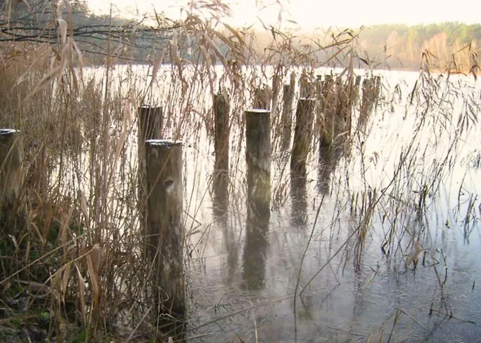 Am - Naehe Berlin ヴィラ Biesenthal