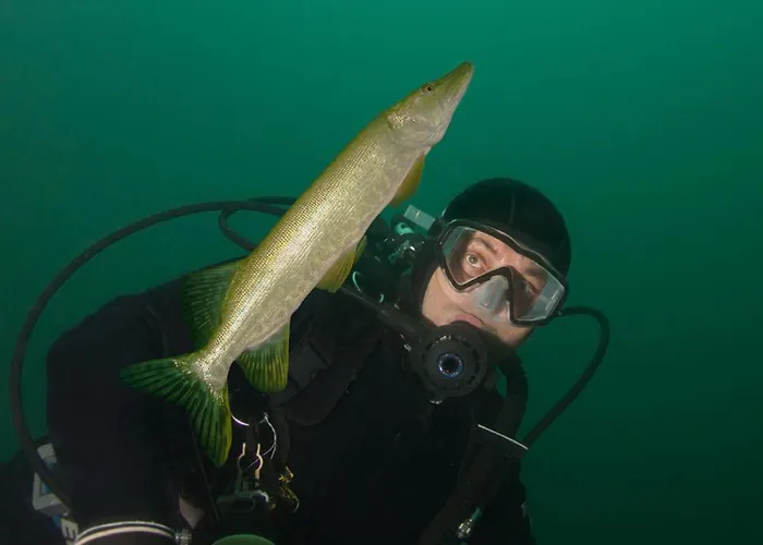 Am - Naehe Berlin ヴィラ Biesenthal